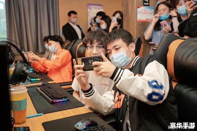 LOL盒子在线查询：探索游戏内外的无限可能