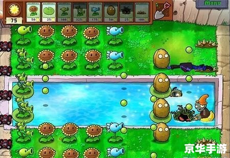 植物大战僵尸塔防版:策略与塔防的完美融合 植物大战僵尸塔防版:策略与塔防的完美融合