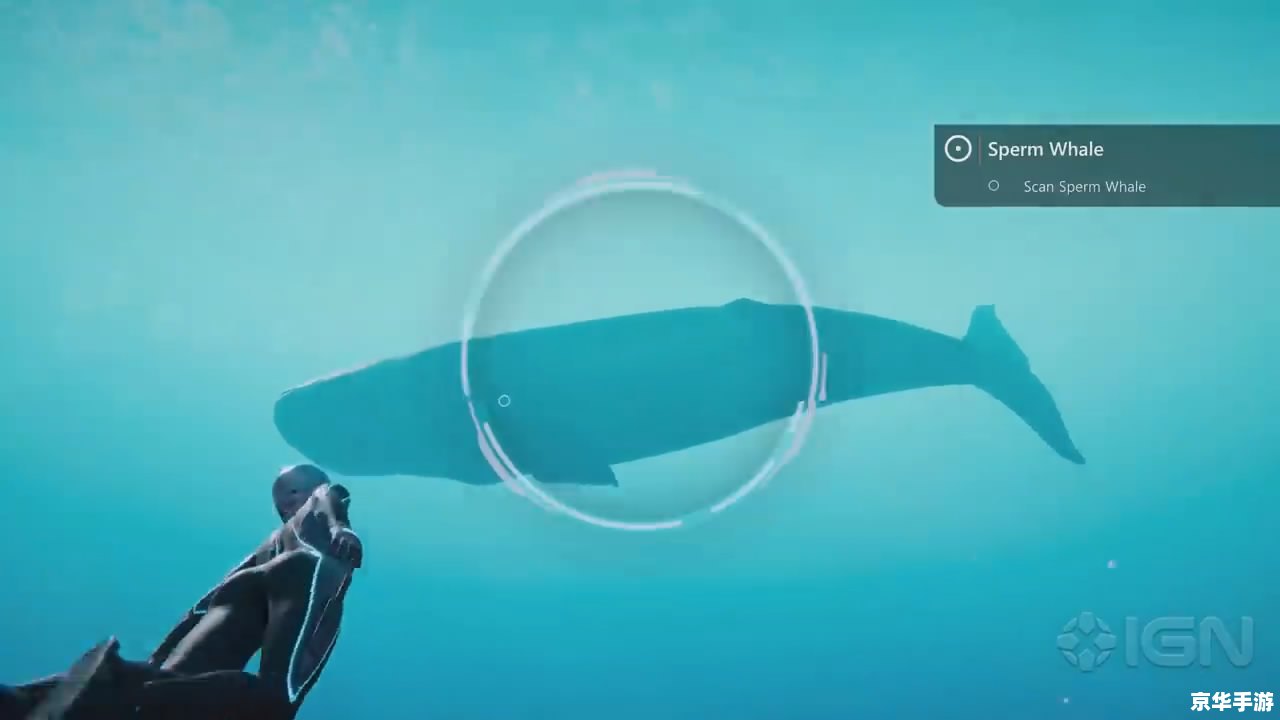 探秘深海,与海洋生物共舞——海底世界动态桌面游戏 探秘深海,与海洋生物共舞——海底世界动态桌面游戏