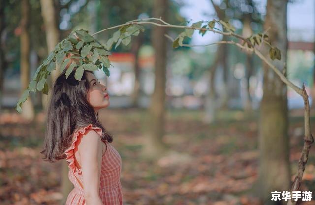 三国杀花色:游戏中的策略与心理博弈 三国杀花色:游戏中的策略与心理博弈