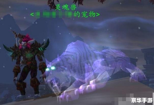 魔兽世界幽灵兽 **魔兽世界中的幽灵兽:魅力、挑战与收藏价值** 魔兽世界幽灵兽 **魔兽世界中的幽灵兽:魅力、挑战与收藏价值**