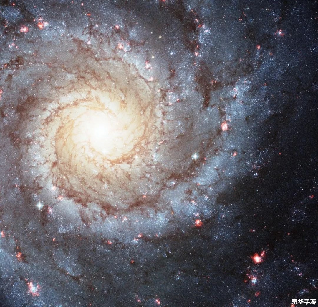 超级马里奥银河:探索奇幻的星系世界 超级马里奥银河:探索奇幻的星系世界
