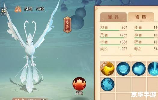 梦幻西游法宝宝怎么加点 梦幻西游法宝宝加点策略 梦幻西游法宝宝怎么加点 梦幻西游法宝宝加点策略