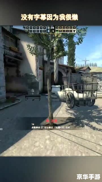 CSGO躲猫猫:一场策略与耐心的较量 CSGO躲猫猫:一场策略与耐心的较量