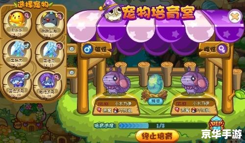洛克王国的小天马 洛克王国小天马:探索、挑战与伙伴的奇妙旅程 洛克王国的小天马 洛克王国小天马:探索、挑战与伙伴的奇妙旅程