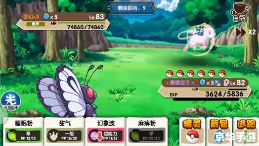 **口袋怪兽银:探索、战斗与未知的冒险** **口袋怪兽银:探索、战斗与未知的冒险**