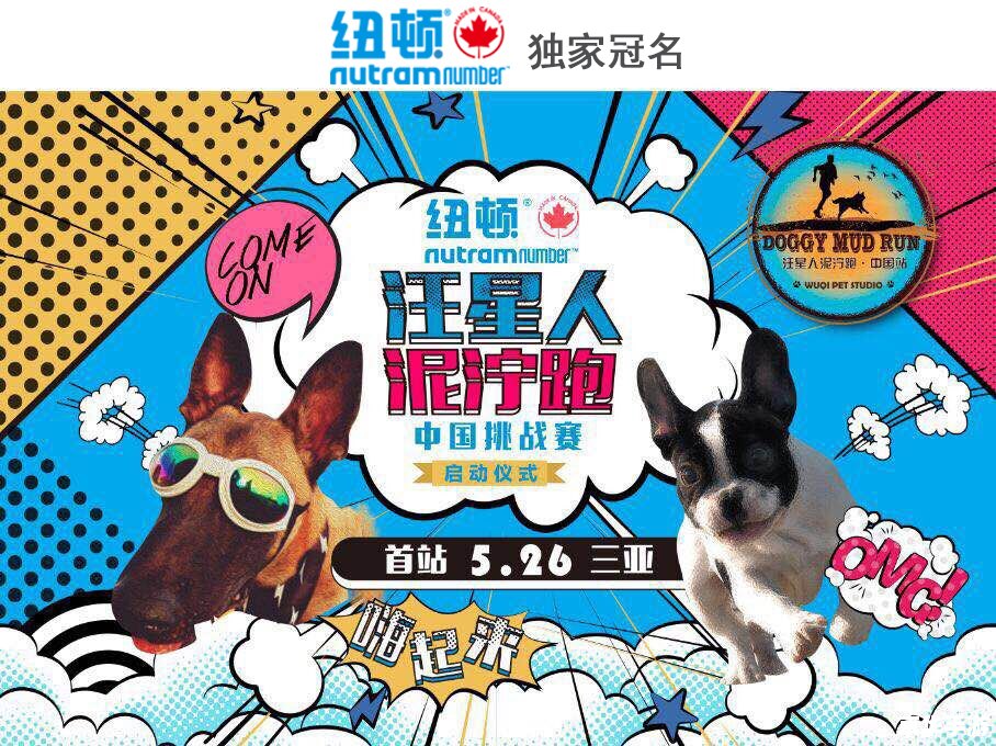 【勇士的宠物】:探险与挑战的得力伙伴 【勇士的宠物】:探险与挑战的得力伙伴