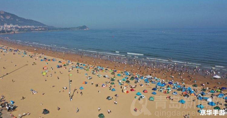 反恐行动游戏:体验紧张刺激的战场 反恐行动游戏:体验紧张刺激的战场
