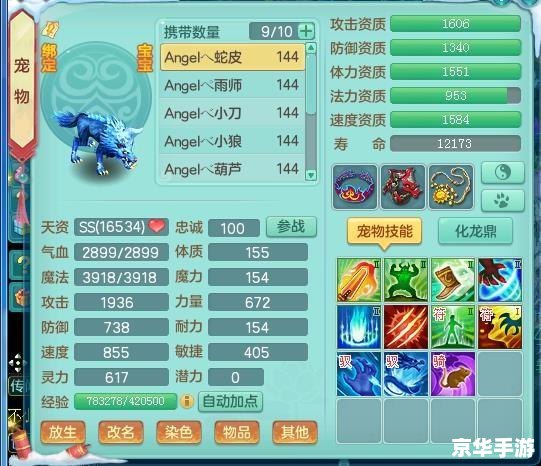 神武飞扬:探索江湖,书写传奇 神武飞扬:探索江湖,书写传奇