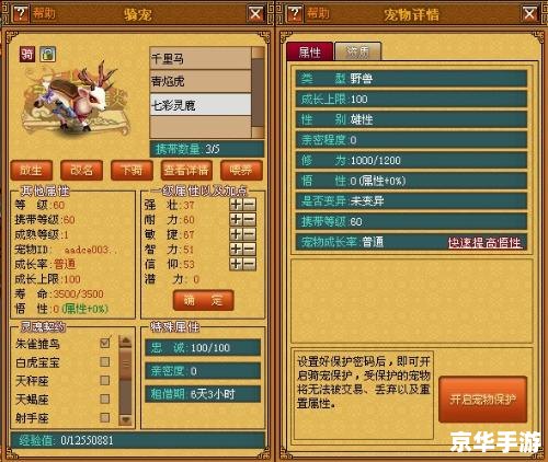 天书奇谈 骑宠 天书奇谈：骑宠系统深度解析