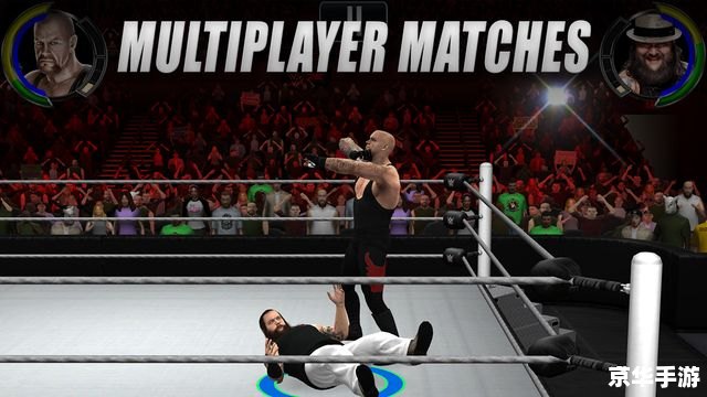 格斗之夜WWE:热血激战,谁将称霸擂台? 格斗之夜WWE:热血激战,谁将称霸擂台?