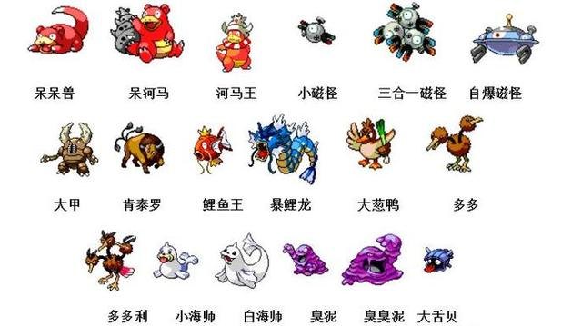 宠物小精灵BW图鉴：探索神奇宝贝世界的全新冒险