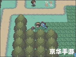 **口袋妖怪心金雪拉比:探索、挑战与无尽冒险** **口袋妖怪心金雪拉比:探索、挑战与无尽冒险**