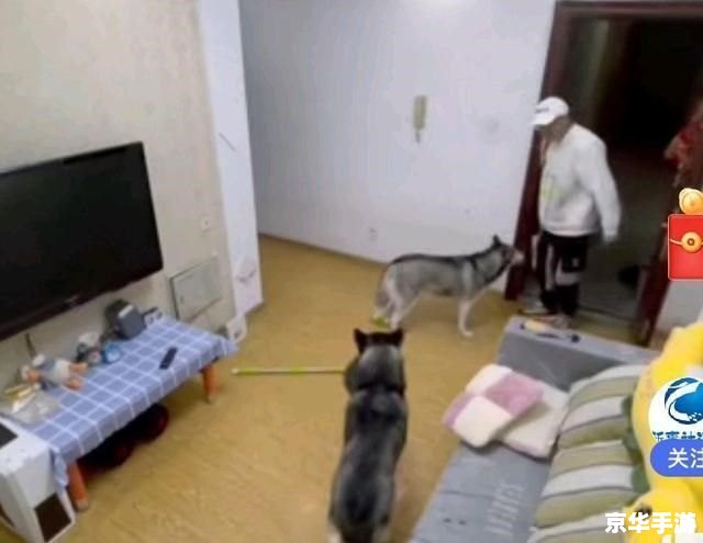 怎么怎么安装电视剧 如何在家中安装电视剧
