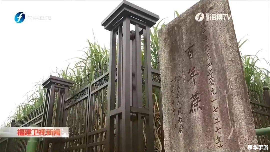 探索NRG播放器:一款强大的多媒体播放工具 探索NRG播放器:一款强大的多媒体播放工具
