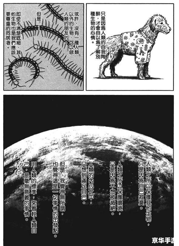 单机游戏下的探险之旅：解析《暗黑地牢》的深度与挑战