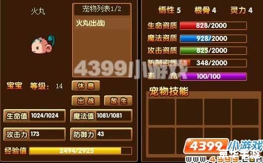 造梦西游3宠物装备怎么得 造梦西游3:宠物装备获取攻略 造梦西游3宠物装备怎么得 造梦西游3:宠物装备获取攻略