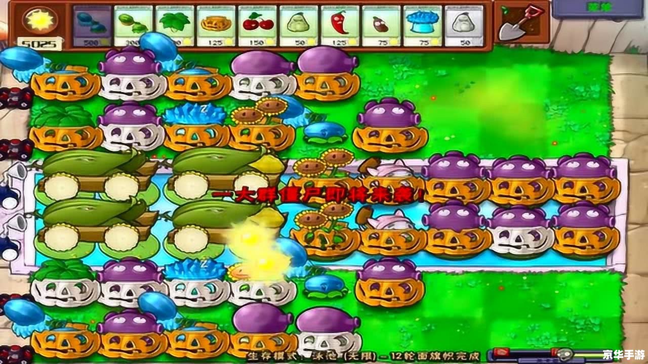 植物大战僵尸生存模式泳池无尽版 植物大战僵尸:泳池无尽版生存策略 植物大战僵尸生存模式泳池无尽版 植物大战僵尸:泳池无尽版生存策略