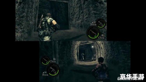 pc生化危机5怎么用 PC版生化危机5的详细使用指南 pc生化危机5怎么用 PC版生化危机5的详细使用指南