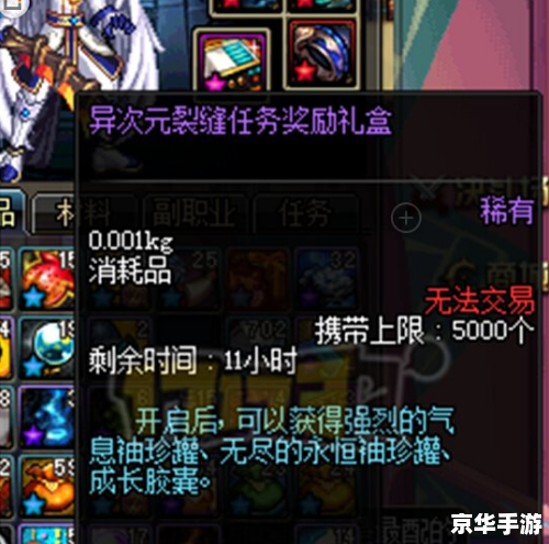 DNF多玩双开：挑战与乐趣并存的游戏体验