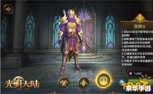 **圣骑士技能深度解析：光明之力的展现**