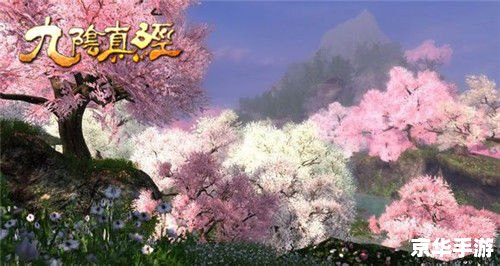 九阴真经怎么加入桃花岛 九阴真经:探寻桃花岛之谜 九阴真经怎么加入桃花岛 九阴真经:探寻桃花岛之谜
