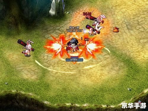 风色幻想5魔兽捕捉 风色幻想5：魔兽捕捉大战