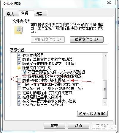 如何安装圣经txt文件 如何安装圣经txt文件