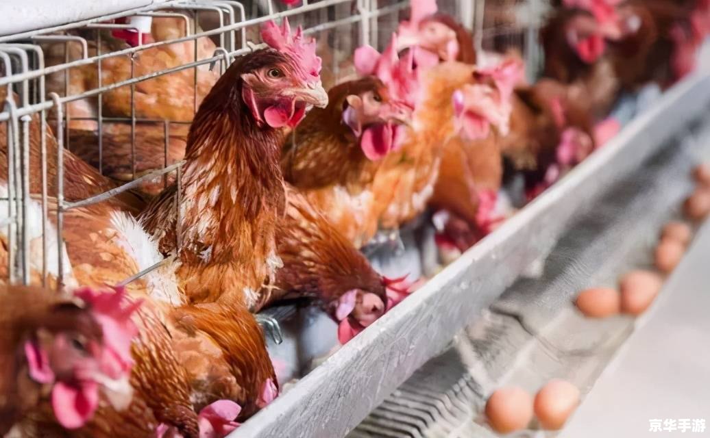 穿越火线登陆超时：游戏内外因素与解决方案