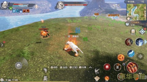 【新飞飞刺客加点攻略:掌握关键技能,成为无敌刺客】 【新飞飞刺客加点攻略:掌握关键技能,成为无敌刺客】