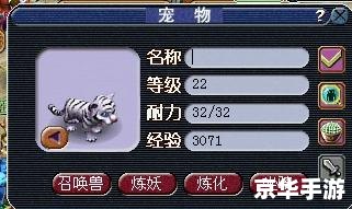 梦幻西游神龙宝宝：探寻神秘宝藏，与神龙共舞