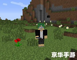 我的世界怎么换皮肤 【我的世界】皮肤更换全攻略:打造个性化游戏体验 我的世界怎么换皮肤 【我的世界】皮肤更换全攻略:打造个性化游戏体验