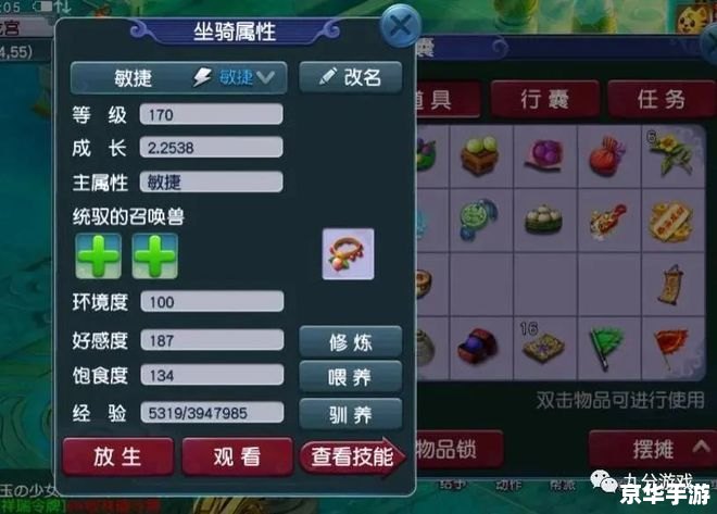 梦幻西游坐骑成长全解析 梦幻西游坐骑成长全解析