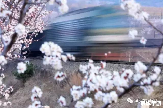 【重生之纵意花丛】—— 穿越花海,再续前缘 【重生之纵意花丛】—— 穿越花海,再续前缘