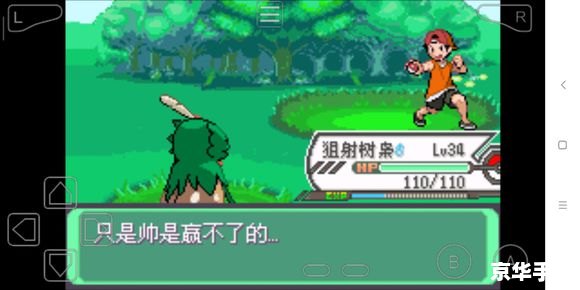 口袋妖怪绿宝石386攻略 【口袋妖怪绿宝石386全攻略:掌握妖怪、挑战与秘籍】 口袋妖怪绿宝石386攻略 【口袋妖怪绿宝石386全攻略:掌握妖怪、挑战与秘籍】