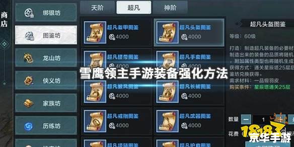 领主之塔装备探秘:打造无敌战力的关键 领主之塔装备探秘:打造无敌战力的关键