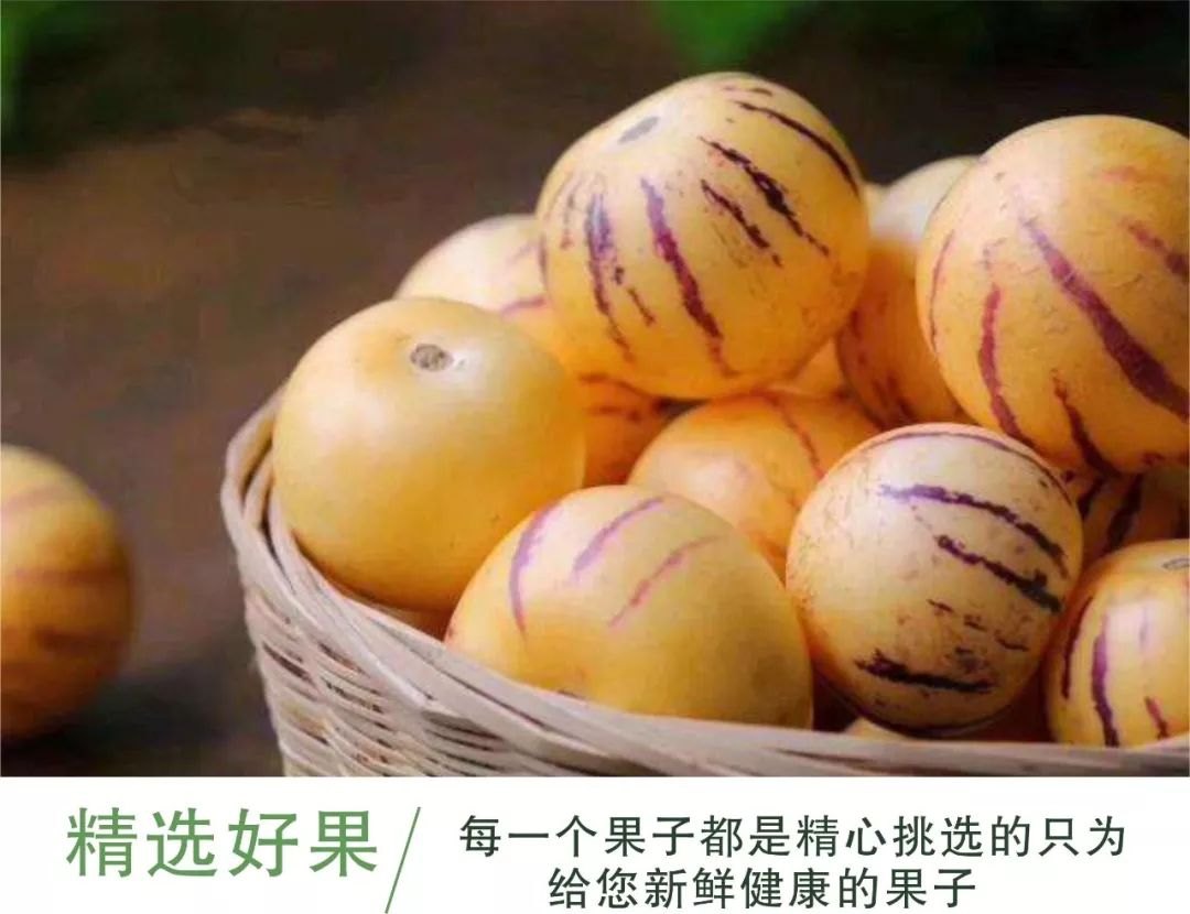 梦幻超级人参果:探寻神秘仙果的力量 梦幻超级人参果:探寻神秘仙果的力量