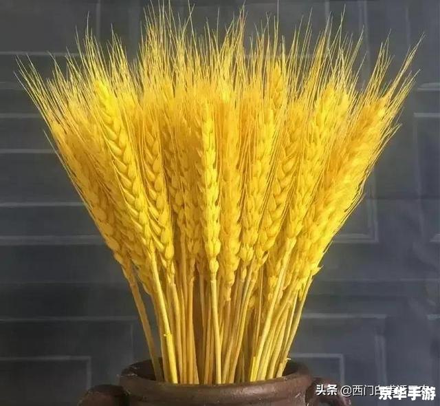 dnf体力宝珠有哪些 《DNF体力宝珠全解析:类型、获取与使用指南》 dnf体力宝珠有哪些 《DNF体力宝珠全解析:类型、获取与使用指南》