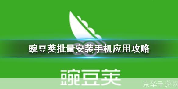 如何从豌豆荚官方平台安装应用