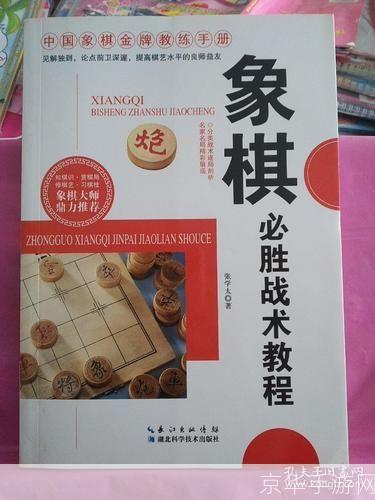 象棋之魅:探究经典残局与战术精髓