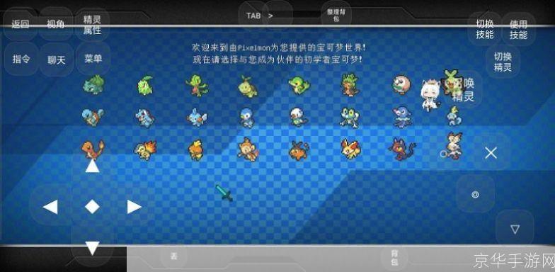 口袋妖怪游戏:口袋妖怪:探险之旅