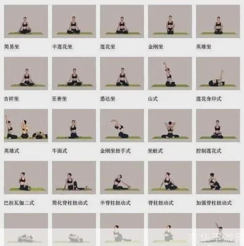 初级瑜伽视频怎么安装: 初级瑜伽视频安装指南