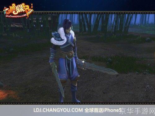 鹿鼎记剑客:剑舞江湖,探寻剑客之道