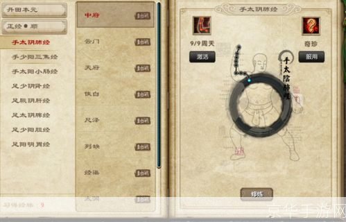 九阴真经经脉系统深度解析