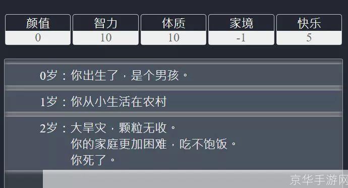 人生重开模拟器轮回之外:轮回之舞:人生重开模拟器的未知之旅