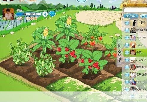 qq农场种什么赚钱快:QQ农场赚钱攻略:快速盈利的种植策略