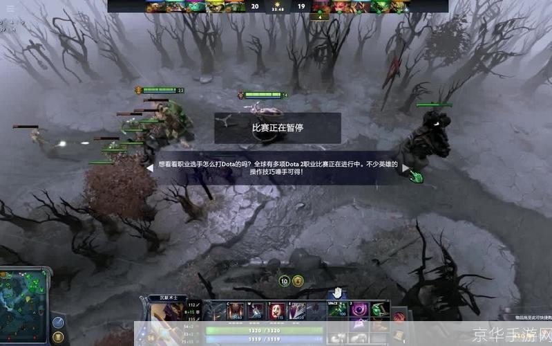 DOTA2更新暂停—— 探寻背后的原因与影响