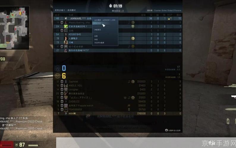 CSGO5E辅助揭秘:提升游戏水平的必备利器