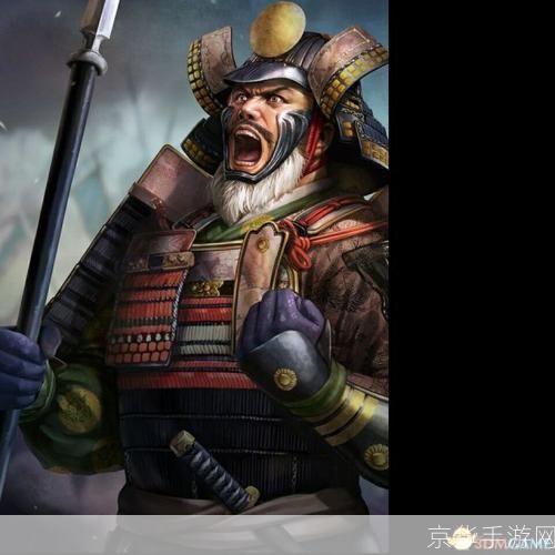 信长之野望12新武将:信长之野望12:创造新传奇——探索新武将的魅力与挑战