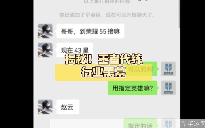 王者荣耀代练揭秘:技巧、风险与市场现状